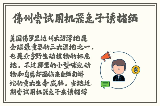 中国小鲜肉GARY2022